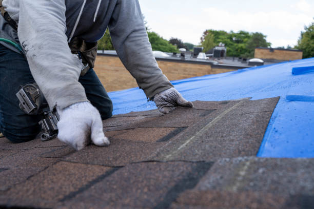 Best Flat Roof Repair Services  in Lone Jack, MO